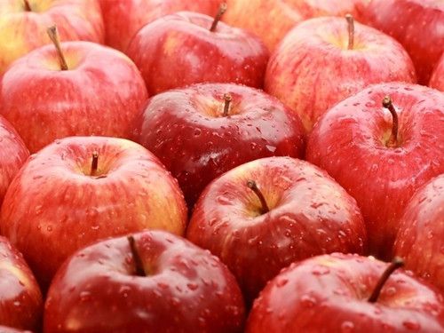 ƻ��Ӫ���� ������������θ www.027eat.com