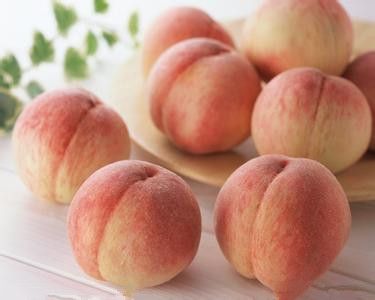 ���ӵ����湦Ч www.027eat.com