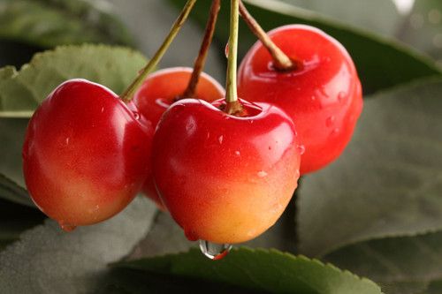 ӣ�ҳԲ��Զ������� ӣ�ҵļ��ֳԷ� www.027eat.com