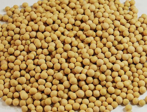 �ƶ����ӻ�˥�� �̵�ƶ���6��Ч www.027eat.com