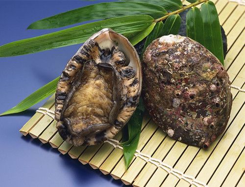 ����ļҳ�������Ἰ�� www.027eat.com