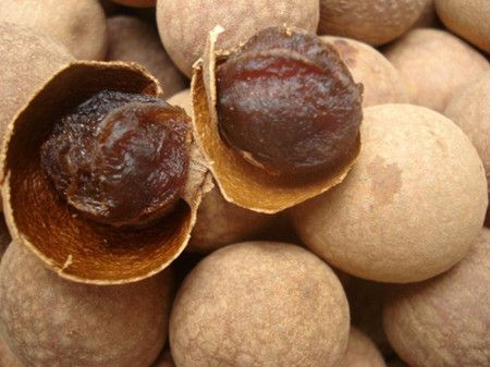 ��Բ������ˮ���� www.027eat.com