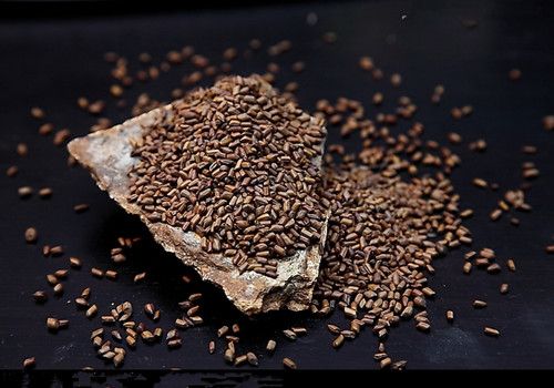 �������Ƿ�Ѫѹ������ www.027eat.com