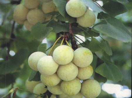 �׹���ô�����Ƹ��Ʋ�? www.027eat.com