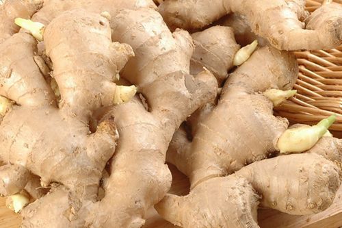 ������ҩЧ ϸ�������Լ����ķ��� www.027eat.com