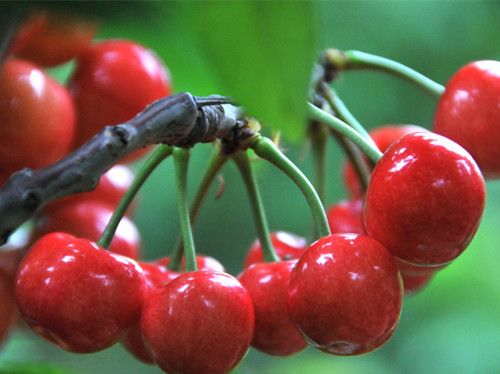 ӣ�������ϴ ӣ�Ҹ���ô���� www.027eat.com