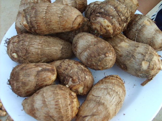 ��ͷ�Ĺ�Ч������ www.027eat.com