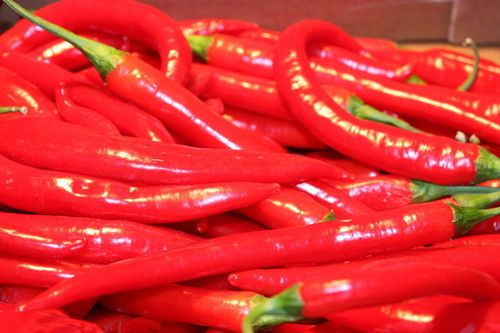 Ϊʲô�������촽�д�ʹ�� www.027eat.com