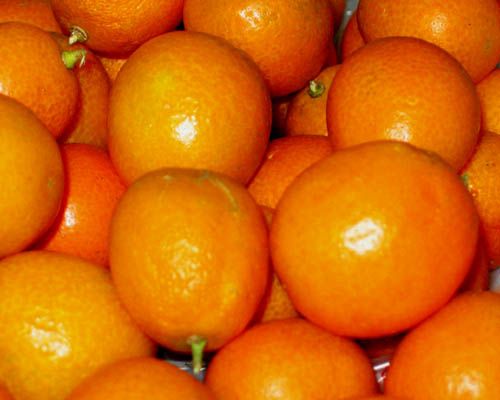 ��۵Ĺ�Ч������ www.027eat.com