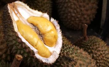 �������ܳ��� ��������ô�� www.027eat.com