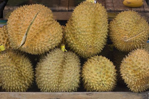 �����ܺõ��̲�Ʒ ������Ӫ����ֵ www.027eat.com