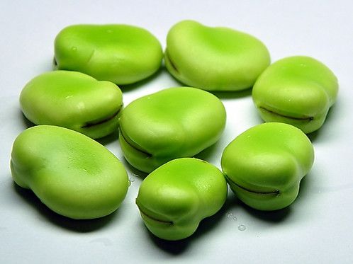 ���п��ԳԲ϶��� �϶�����Ӧ��Ⱥ www.027eat.com