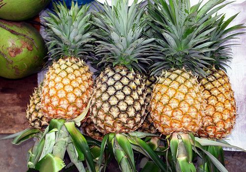 ���ܵĶ���������Ч  �Բ��ܵ�ע������ www.027eat.com