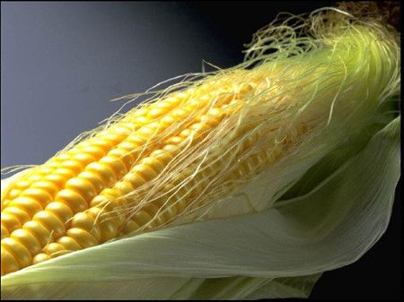 ������Ĺ�Ч������ www.027eat.com