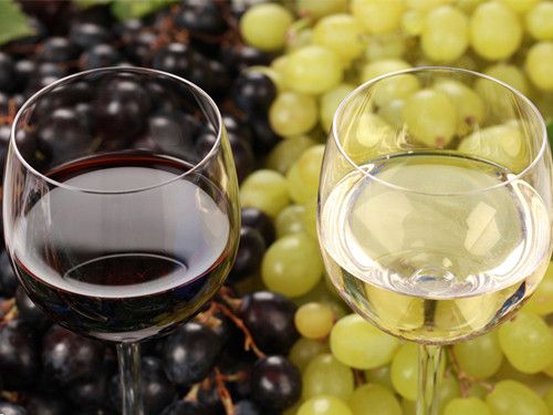 葡萄酒品鉴 如何巧喝佳酿 www.027eat.com