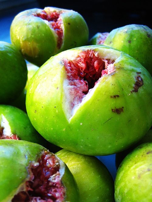 �޻����Ĺ�Ч�����ü�ʳ�÷��� www.027eat.com