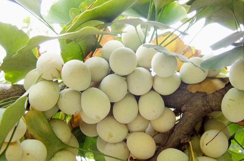 �׹���ҽ��������Щ���ã� www.027eat.com