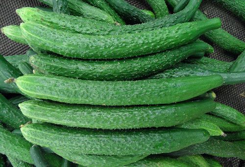 �ƹϵĹ�Ч������ ����ѹ����˥�� www.027eat.com