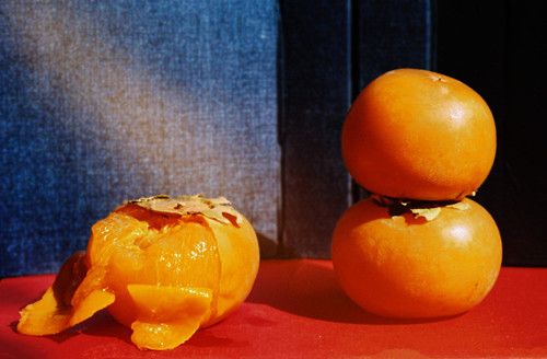 �������ߴ���� ������θ���� www.027eat.com