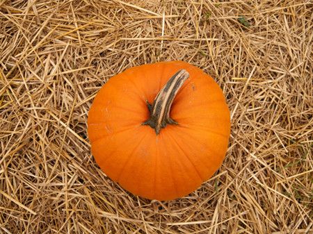 �ϹϿɷ��� �����ϹϵĹ�Ч������ www.027eat.com