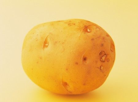 ������ʲôֲ� www.027eat.com