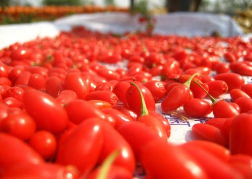 ��轵�17�ֹ�Ч���㽡������ www.027eat.com