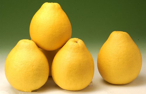 ����ƤҲ�Ǻö��� ���ֽ����Է������� www.027eat.com