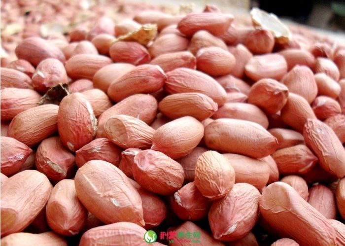 �������µĲ�Ѫ��Ч www.027eat.com