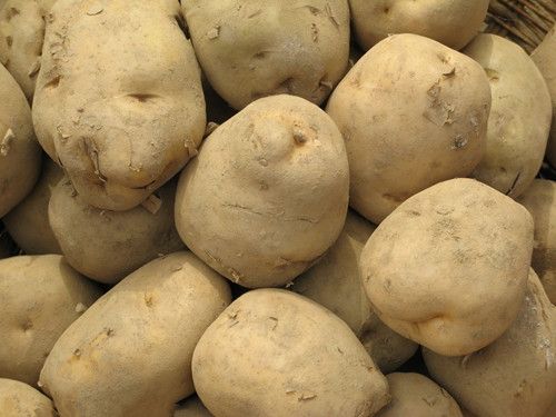 ��ζ���� ��Ư��Ů�˸������� www.027eat.com