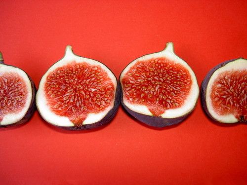 �޻����������ǵ�Ӫ������ʳ�� www.027eat.com