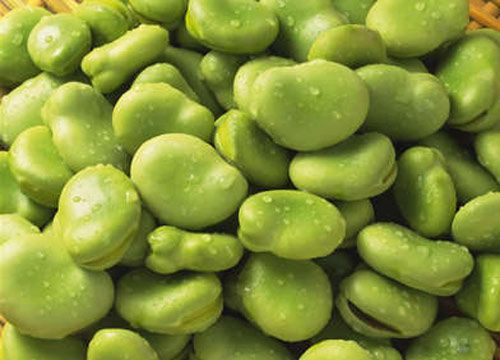 警惕孩子“蚕豆病” www.027eat.com