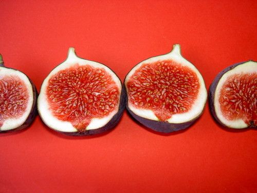 �����޻���   7�ּ���һ���� www.027eat.com