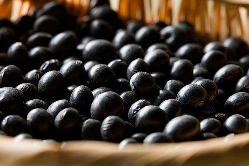 �Ժڶ����������֢״ ���ܼ������� www.027eat.com