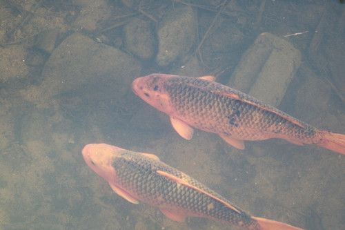 ������  Ұ�ⴹ�������5��ѡ�㷽�� www.027eat.com