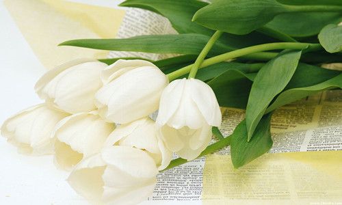 �ٺϵĹ�Ч�����ü�ʳ�÷��� www.027eat.com