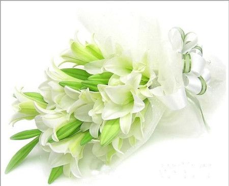 �ٺϵĹ�Ч�����ü�ʳ�÷��� www.027eat.com