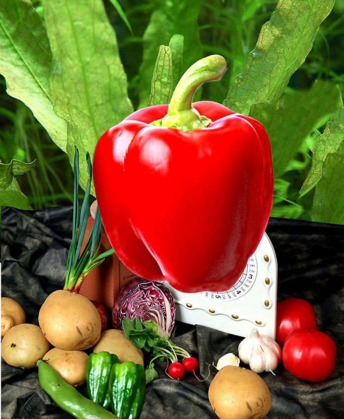 ��������������ʲô�ô��� www.027eat.com