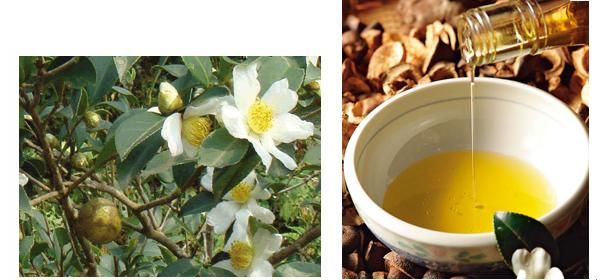 ���͵Ĺ�Ч������ www.027eat.com