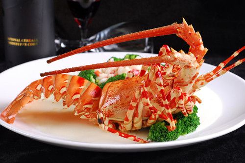 �и����Գ�Ϻ�� �и�����ʳע������ www.027eat.com