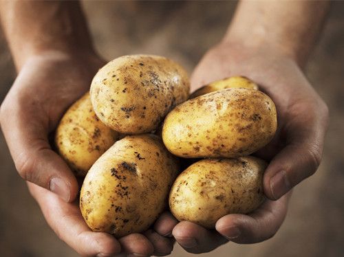 ����������ʲôͬ�� 5��ʳ�����ж� www.027eat.com