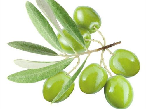 ����ͺͰ״����ݵķ��� ����͵����� www.027eat.com