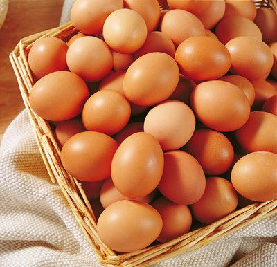 ����ü��������������� www.027eat.com