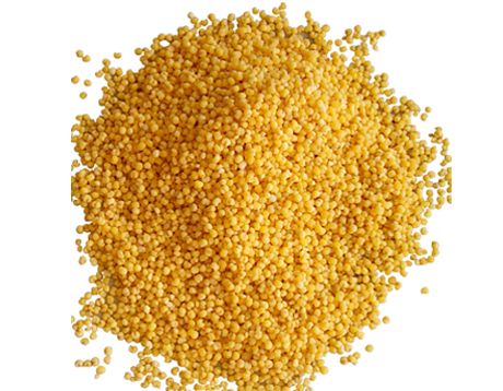 ��С�׵ĺô� www.027eat.com