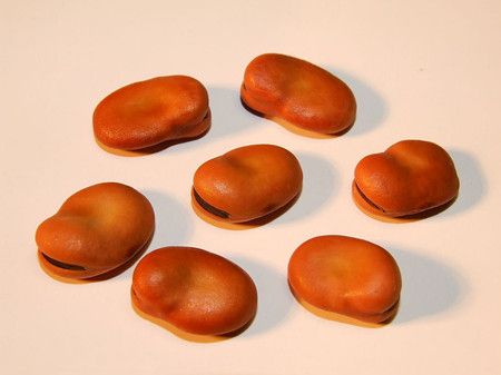 �϶�������ҩ���ɺ���ʳ�Ļ��� www.027eat.com