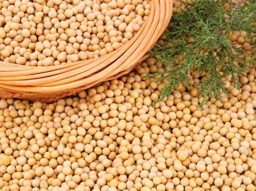 ʳ�ûƶ�������� �ƶ������ݹ�Ч www.027eat.com