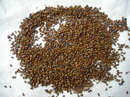 �����ӵ�ʳ�Ʒ�������Щ�� www.027eat.com