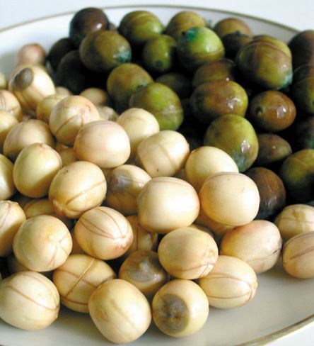 ��ʳ���ӿ������ž���й www.027eat.com