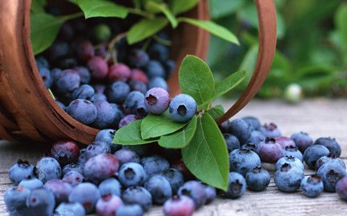 ��ݮ���Ĵ󱣽���Ч www.027eat.com