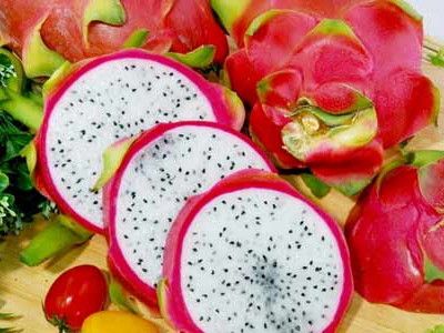 ������ƤҲ�Ǳ�ǧ����� www.027eat.com