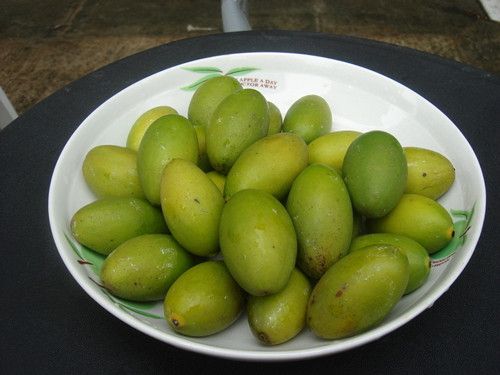 ����魵Ĺ�Ч������ www.027eat.com